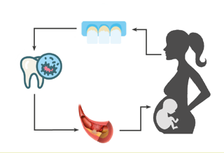 Womens Fertility And The Link To Gum Heath:  Does Gum Disease Affect Your Chances Of Getting pregnant?